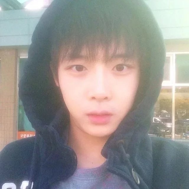 成咏松洁