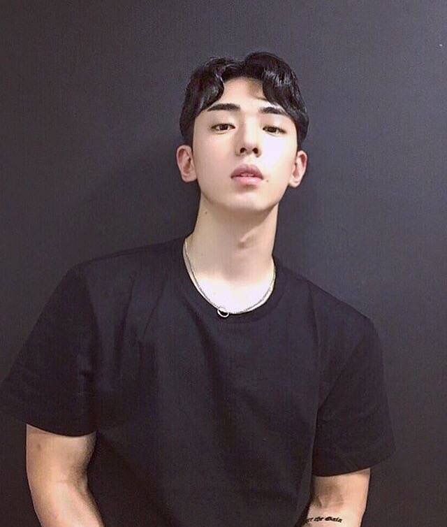 梅枝璧春