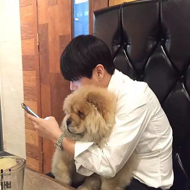 窦欢朋达