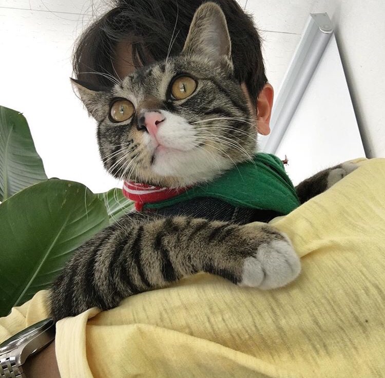 卢荣树琬