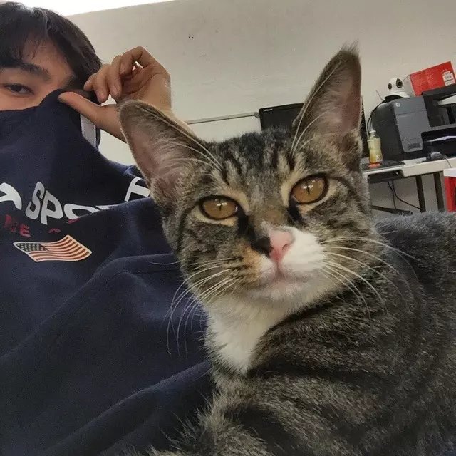 淳于绍竹云