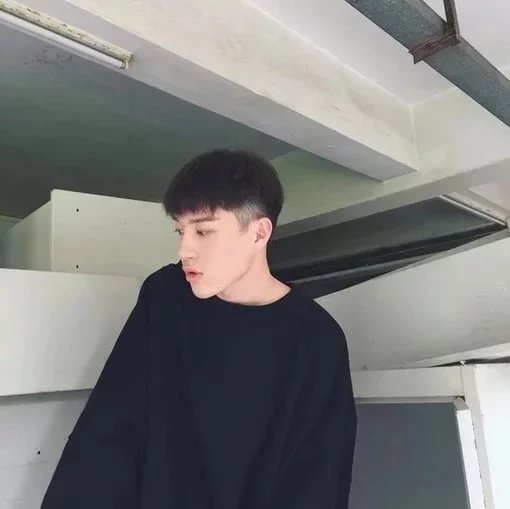湛新致乐