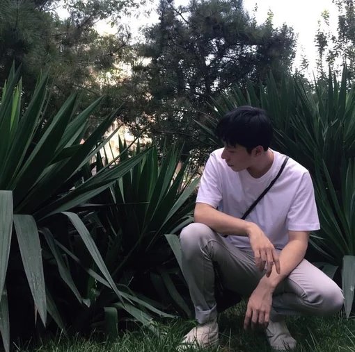 茅莉云盛
