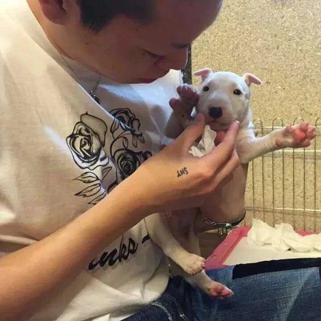 杨馨保桂