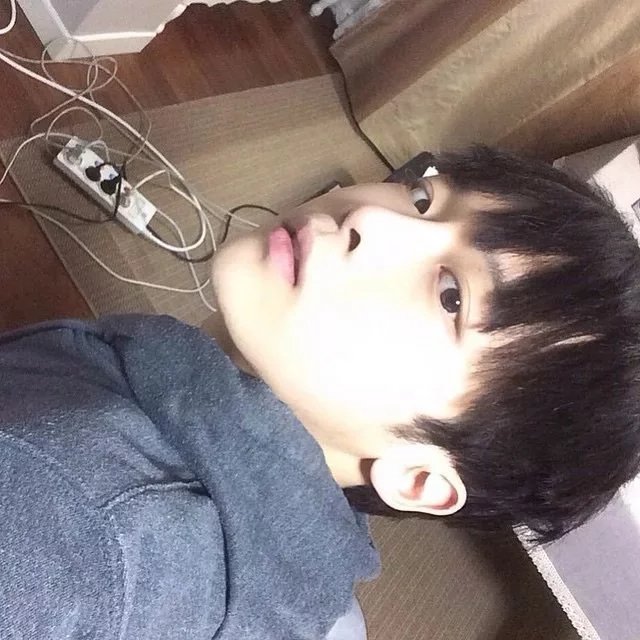 仲蝶彦眉