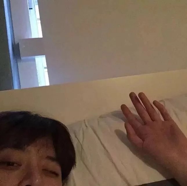 薛纯菡梅